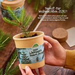 Weihnachtsbaum aus dem Becher kaufen bei shop_name - 
