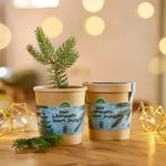 Weihnachtsbaum aus dem Becher kaufen bei shop_name - 