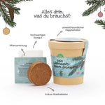 Weihnachtsbaum aus dem Becher kaufen bei shop_name - 