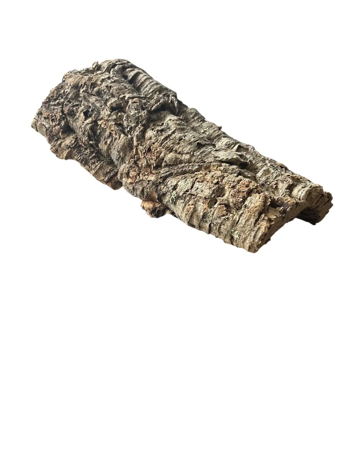 Zierkork Rinde natur flach kaufen bei shop_name - 